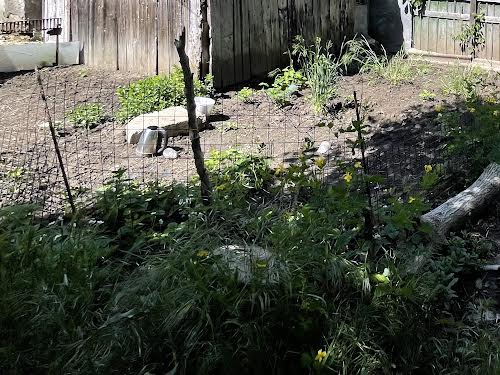 квартира по адресу Фонтанская дорога ул., 107