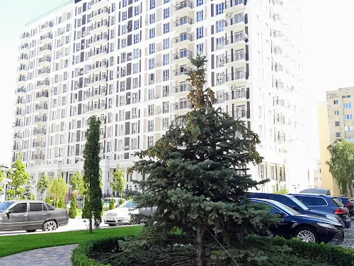 квартира за адресою Михайла Максимовича вул. (Онуфрія Трутенка), 26