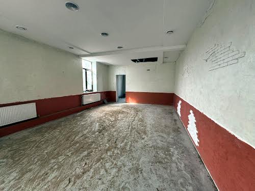 комерційна за адресою Ольги Теліги, 133