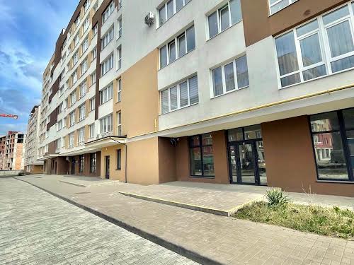 квартира за адресою Володимира Великого вул., 5