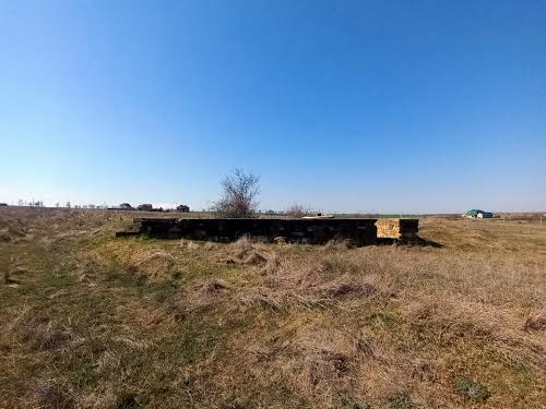 ділянка за адресою смт. Олександрівка, тополева