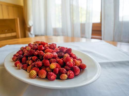 дом по адресу Кам'янка