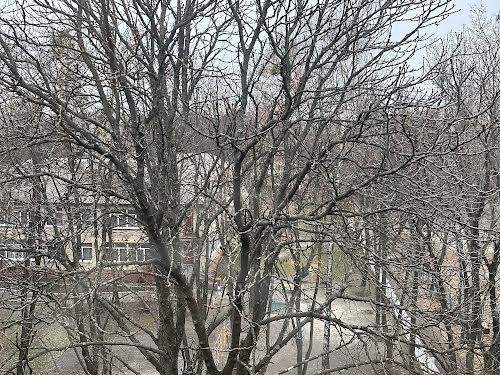 квартира по адресу Любомира Гузара просп. (Космонавта Комарова), 30/28