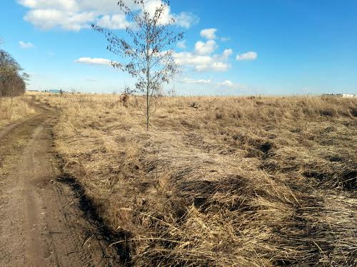 ділянка за адресою с. Софіївська борщагівка, 