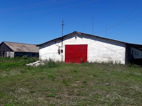 ділянка за адресою с. Перлявка, Чуднівська