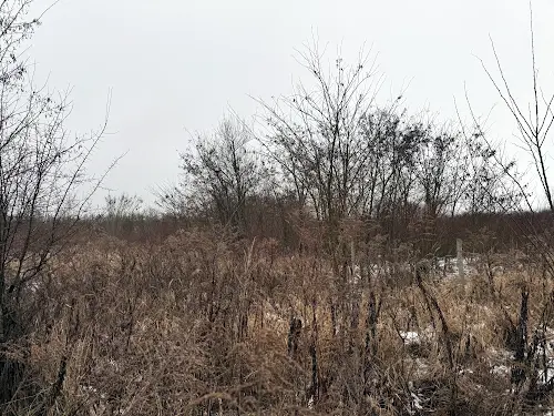 участок по адресу Озёрная ул., 88