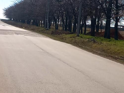 ділянка за адресою смт. Олександрівка, тополева
