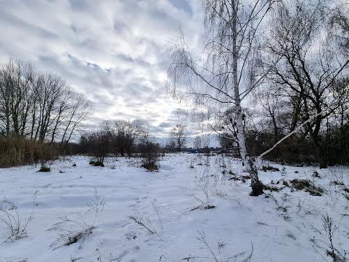 ділянка за адресою с. Лютіж, Ватутіна