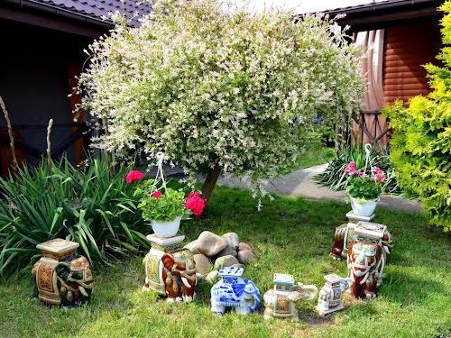 будинок за адресою с. Світязь, Європейська вул. (Жовтнева), 72