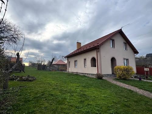 будинок за адресою с. Поріччя, Низинна, 70