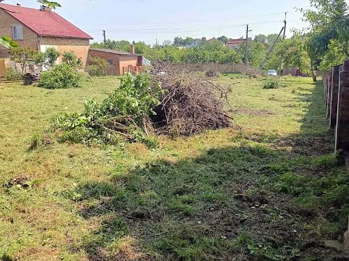 ділянка за адресою Миколи Хвильового вул.