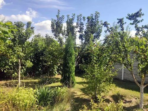 дом по адресу Киівська, 7а