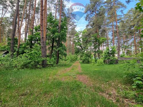 ділянка за адресою с. Лютіж, Вітряного