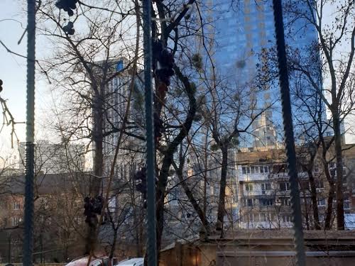 комерційна за адресою Кропивницького вул., 18
