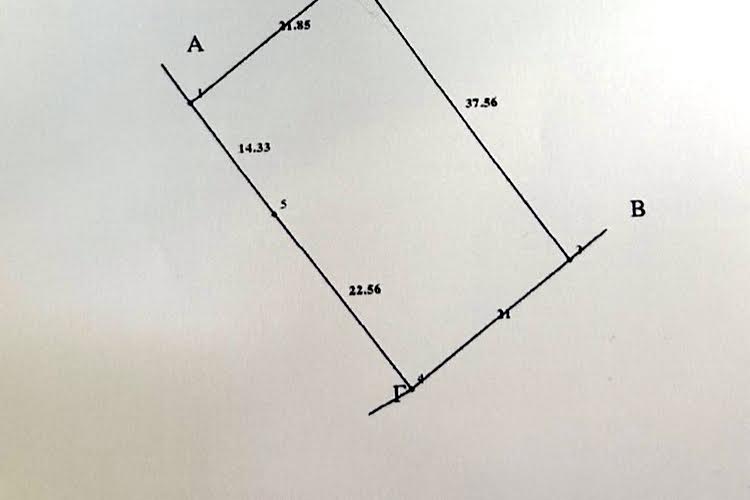 1835823781230313