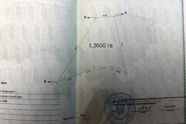 1831458762716324