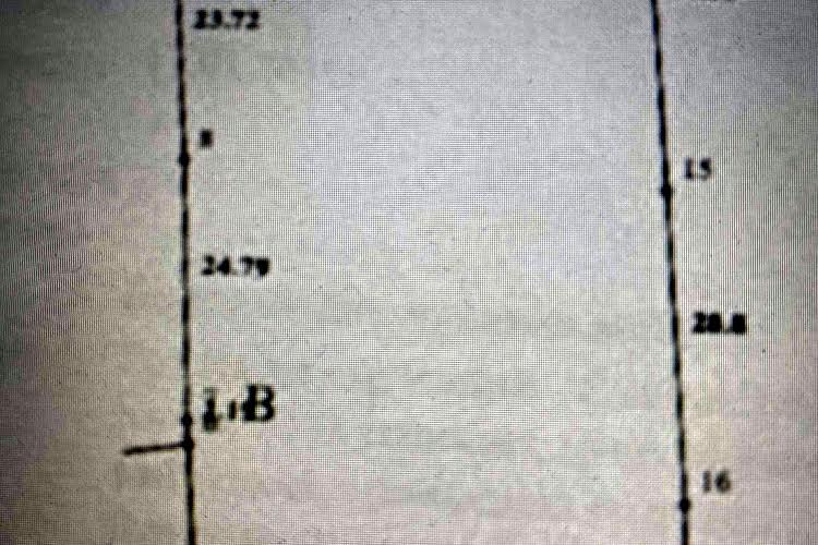 1835015206331064