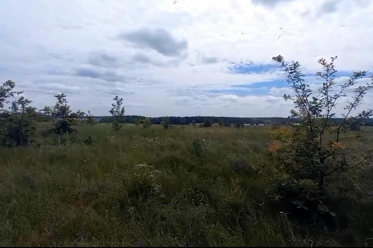 1836631347978799
