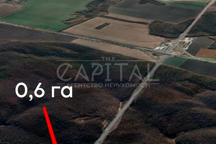 1835719781261901