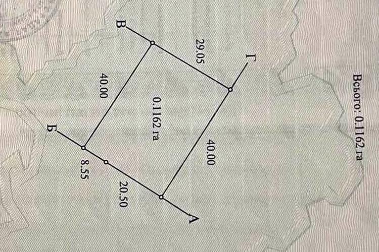 1831001924855940